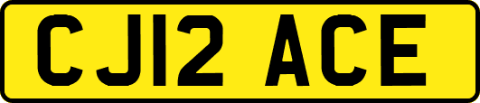 CJ12ACE