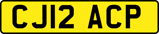 CJ12ACP