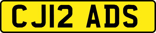 CJ12ADS