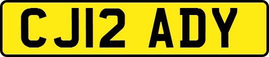 CJ12ADY