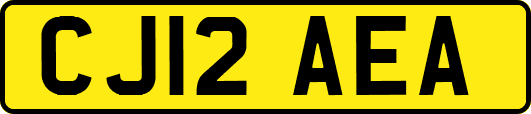 CJ12AEA