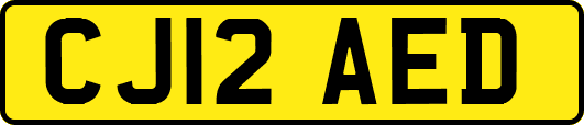 CJ12AED