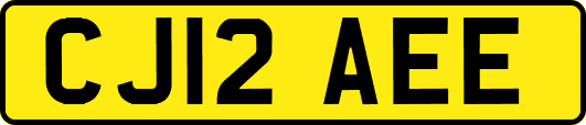 CJ12AEE