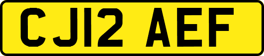 CJ12AEF