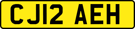 CJ12AEH