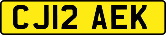 CJ12AEK