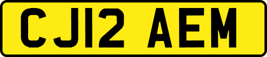 CJ12AEM