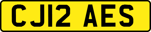 CJ12AES