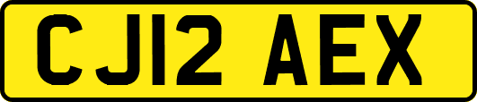 CJ12AEX