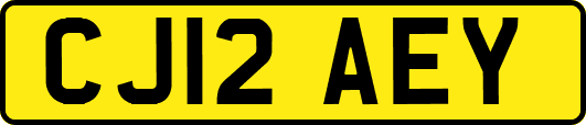 CJ12AEY