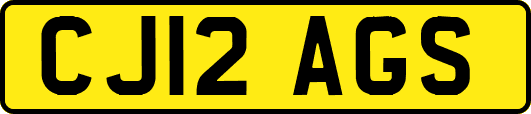 CJ12AGS