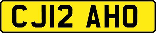 CJ12AHO