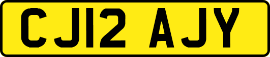 CJ12AJY