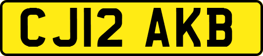 CJ12AKB