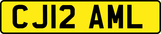 CJ12AML