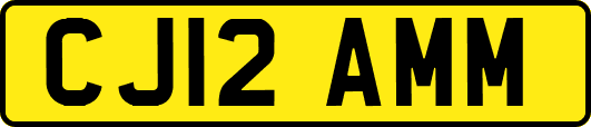 CJ12AMM