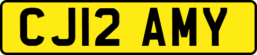 CJ12AMY
