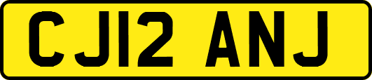 CJ12ANJ