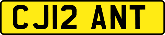 CJ12ANT