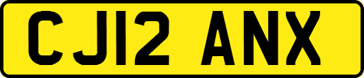 CJ12ANX