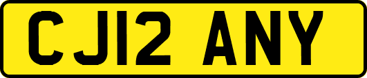 CJ12ANY