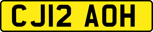 CJ12AOH
