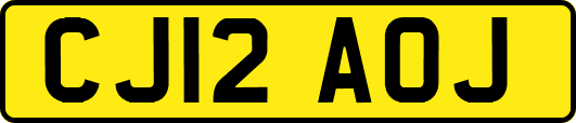 CJ12AOJ