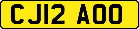 CJ12AOO