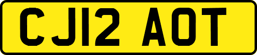 CJ12AOT