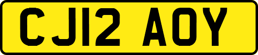 CJ12AOY