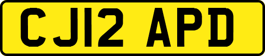 CJ12APD