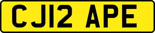 CJ12APE