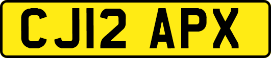 CJ12APX