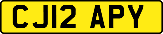 CJ12APY