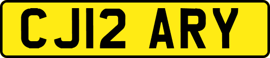 CJ12ARY