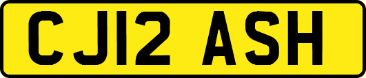 CJ12ASH