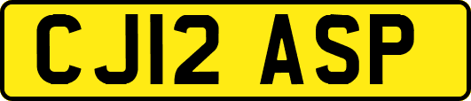 CJ12ASP