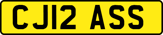 CJ12ASS