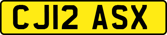 CJ12ASX