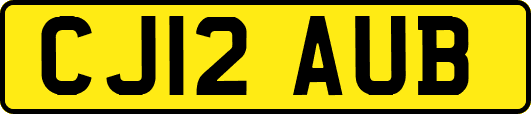 CJ12AUB
