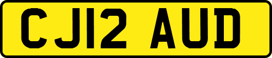CJ12AUD