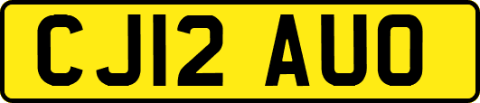 CJ12AUO