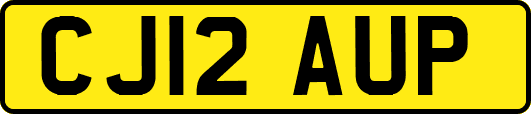 CJ12AUP