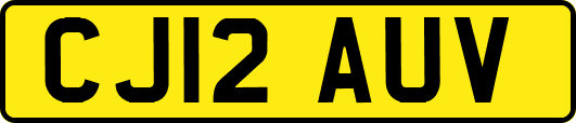 CJ12AUV