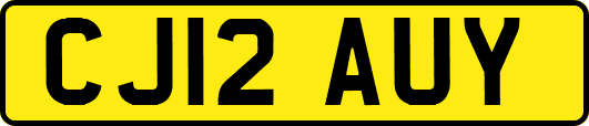 CJ12AUY