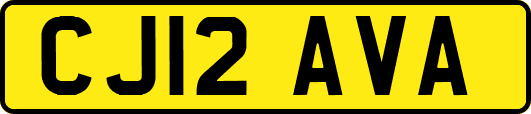 CJ12AVA