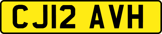 CJ12AVH