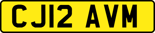 CJ12AVM