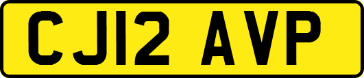 CJ12AVP