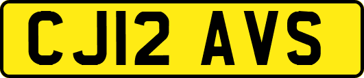 CJ12AVS